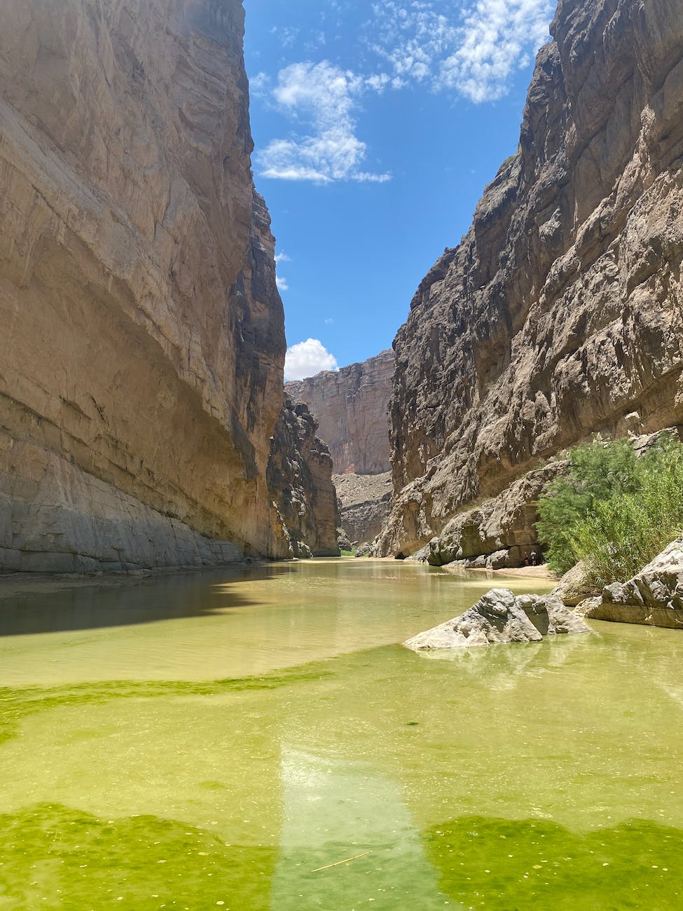 Exploring the Wonders of Big Bend National Park: A Guide to Your Next&nbsp;Adventure
