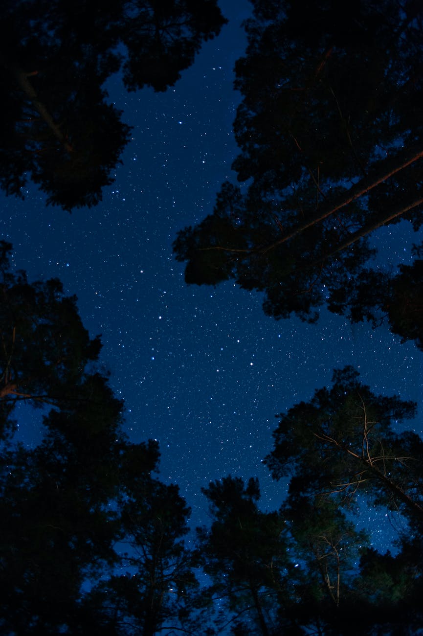 The Magic and Wonder of Stargazing: Connecting with the&nbsp;Universe