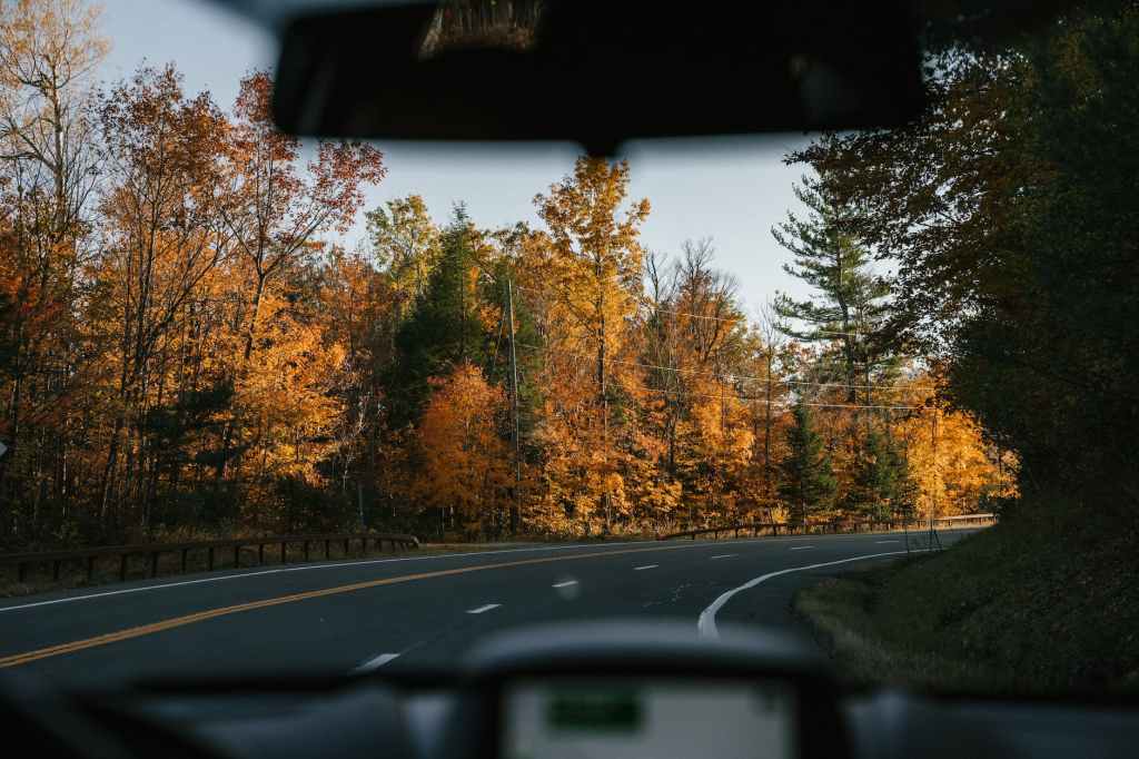 Colors of Autumn: Exploring the Best Scenic Fall Road Trips in the&nbsp;US
